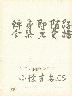 转身即陌路短剧全集免费播放下载