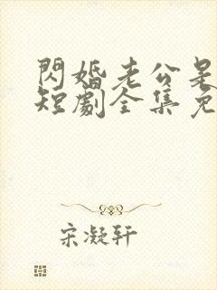 闪婚老公是总裁短剧全集免费播放