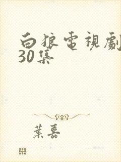 白狼电视剧全集30集