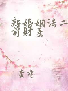 新婚姻法二婚婚前财产