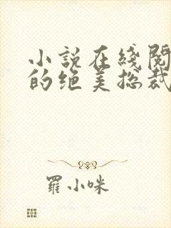 小说在线阅读我的绝美总裁老婆