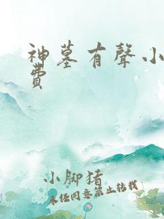 神墓有声小说免费