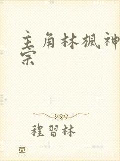 主角林枫神霄剑宗