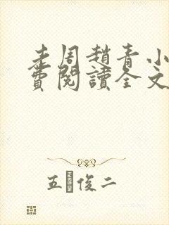 老周赵青小说免费阅读全文章节