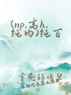 (np,高h,纯肉)纯百