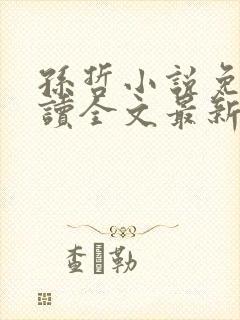 孙哲小说免费阅读全文最新章节