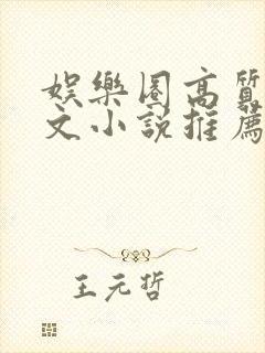 娱乐圈高质量甜文小说推荐