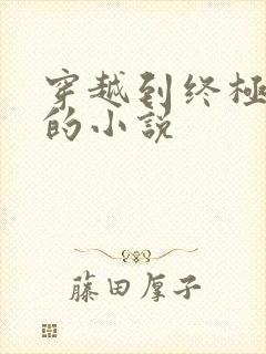 穿越到终极斗罗的小说