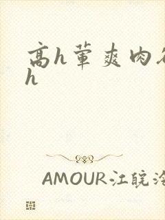 高h荤爽肉欲文h