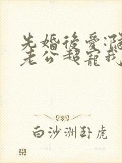 先婚后爱:隐婚老公超宠我 容年