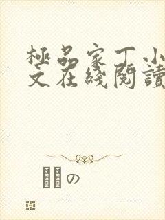 极品家丁小说全文在线阅读