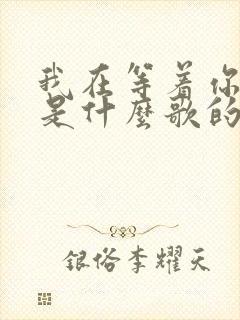 我在等着你回来是什么歌的歌词