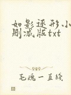 如影逐形小说无删减版txt