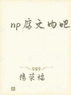 np腐文肉吧