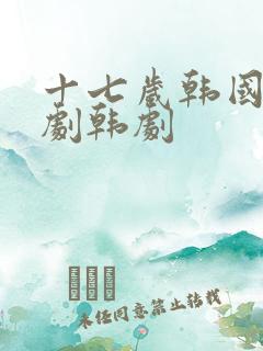 十七岁韩国电视剧韩剧