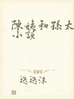 陈姨和孙太太的小说