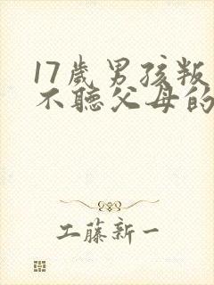 17岁男孩叛逆不听父母的话怎么办