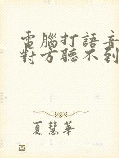 电脑打语音电话对方听不到声音