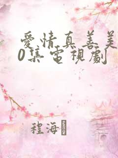 爱情真善美全40集电视剧