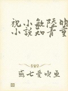 祝小敏陆明铮的小说知青重生