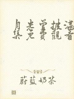 月光曾披满我全集免费观看