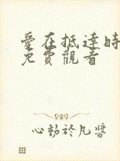 爱在抵达时短剧免费观看