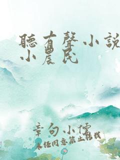 听有声小说至尊小农民