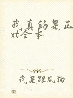 我真的是正派txt全本