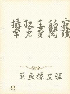 摄政王的宠妻日常免费阅读全文