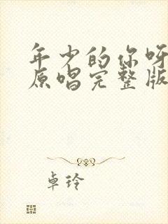 年少的你呀歌曲原唱完整版