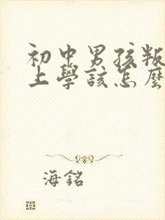 初中男孩叛逆不上学该怎么办