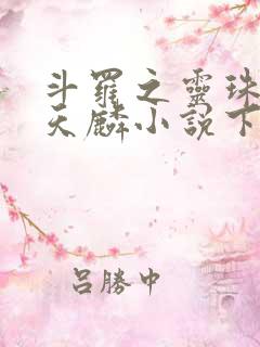 斗罗之灵珠神剑天麟小说下载