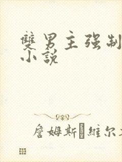 双男主强制调教小说