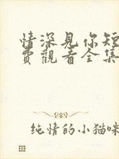 情深见你短剧免费观看全集