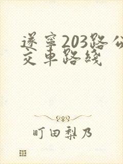 遂宁203路公交车路线