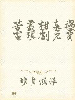 苦尽柑来遇见你电视剧免费下载