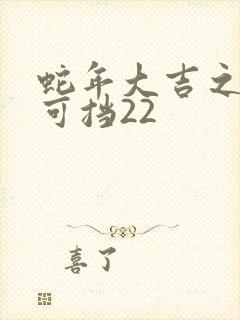 蛇年大吉之婚不可挡22