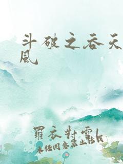 斗破之吞天决萧风