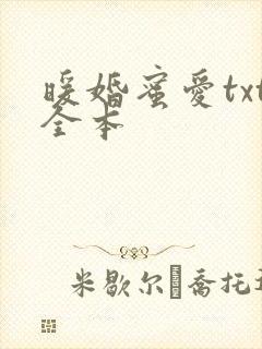 暖婚蜜爱txt全本