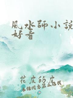风水师小说哪本好看