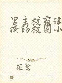 男主校霸很痞很撩的校园小说