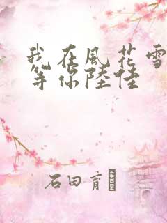 我在风花雪月里等你陆佳