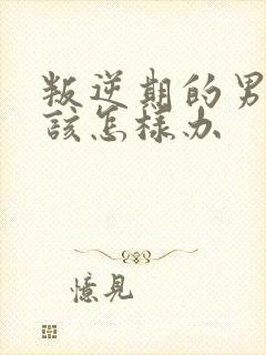 叛逆期的男孩子该怎样办