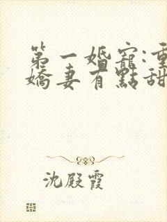 第一婚宠:重生娇妻有点甜 蓝九