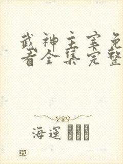 武神主宰免费观看全集完整版