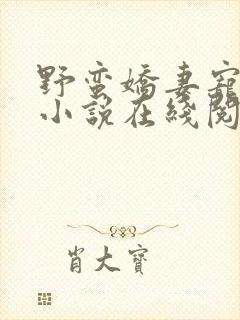 野蛮娇妻宠不得小说在线阅读