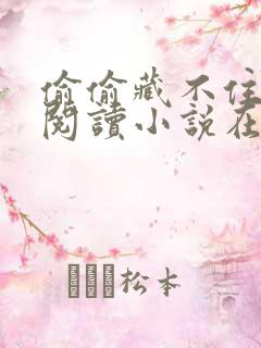 偷偷藏不住免费阅读小说在线阅读