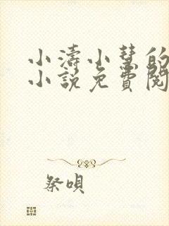 小涛小慧的主角小说免费阅读