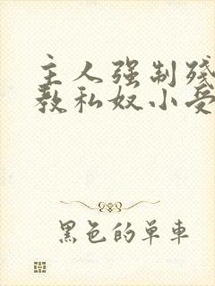 主人强制残忍调教私奴小受视频