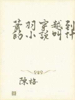 萧羽穿越到斗破的小说叫什么